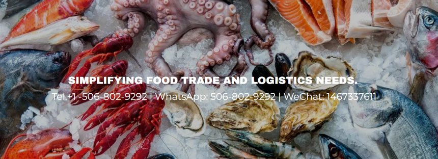 Welcome New Member l Looking for Food Importer in China